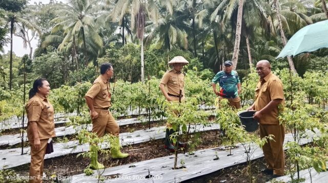 d097e0fb-a55c-43c8-813d-799ea21deb96