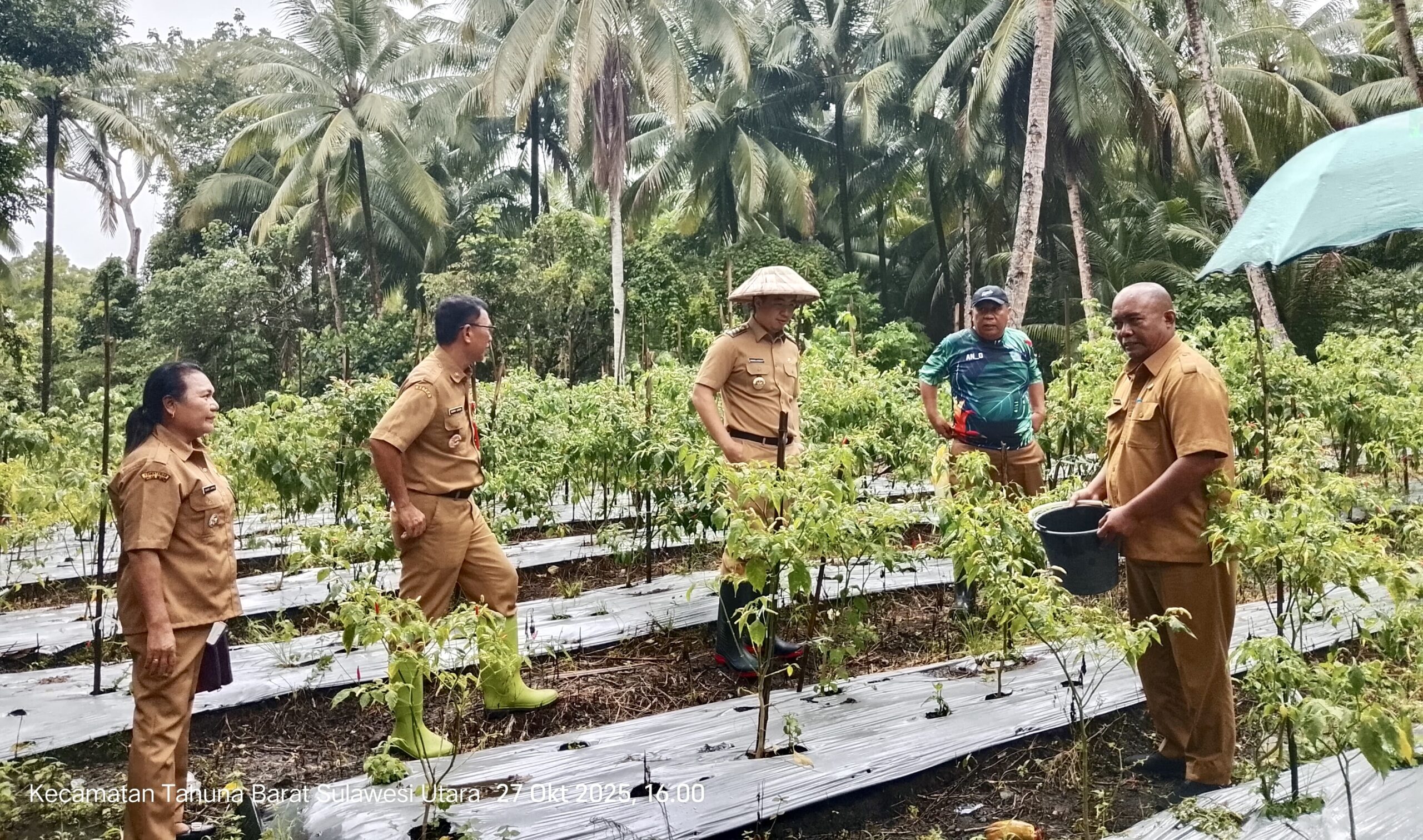 d097e0fb-a55c-43c8-813d-799ea21deb96