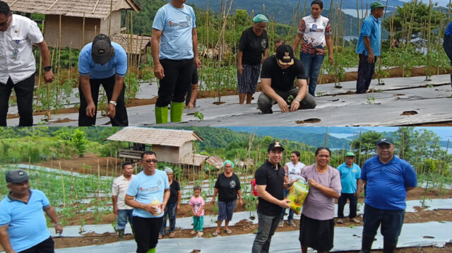 created by InCollage