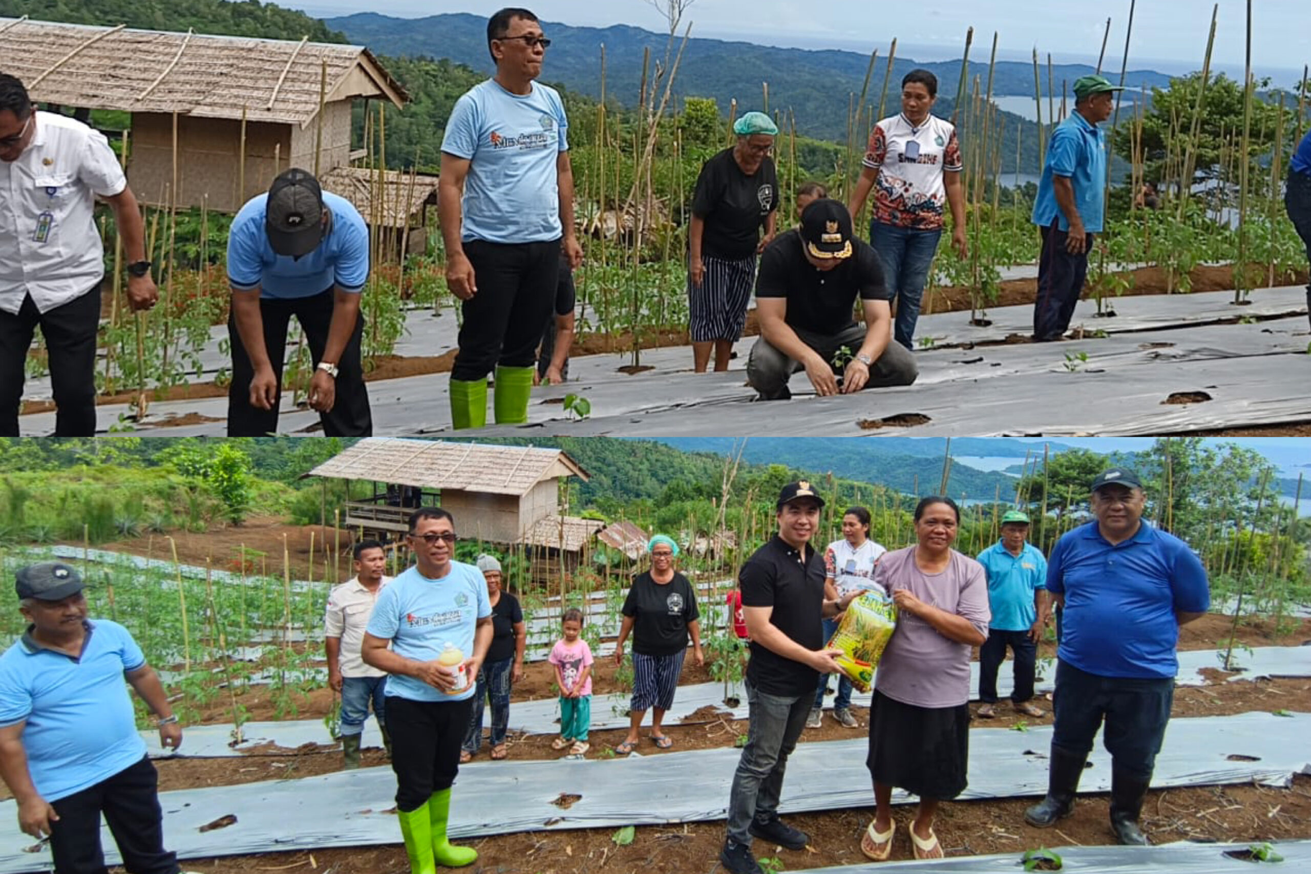 created by InCollage